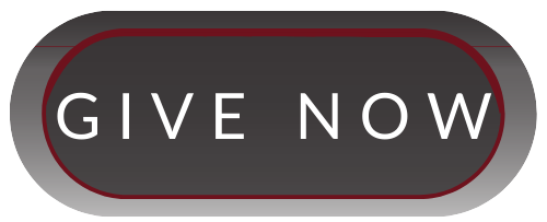 Give now button 4